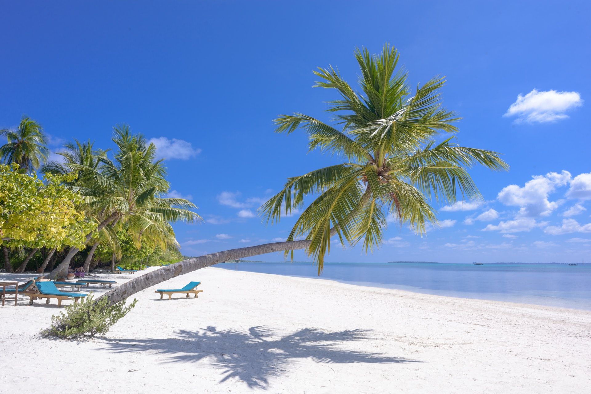 beach-clouds-coconut-trees-1591373